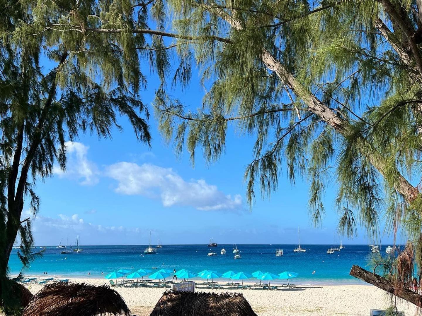 Eden On The Sea Hotel Bridgetown Exterior foto